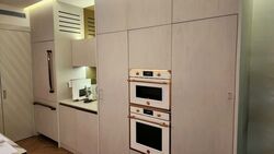 Mount Sinai Lane (D10), Condominium #567789881